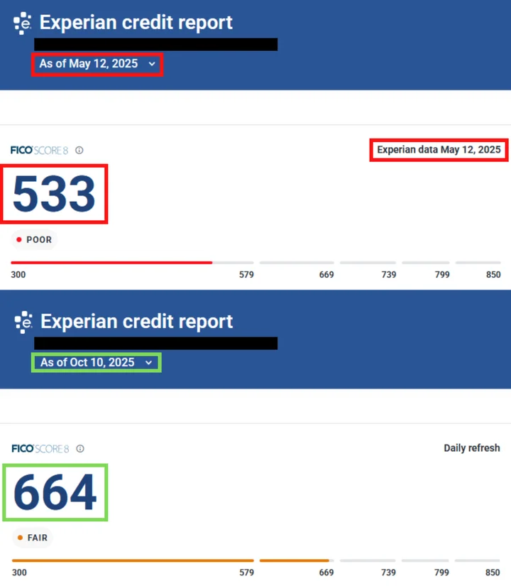 Nelson's credit report result