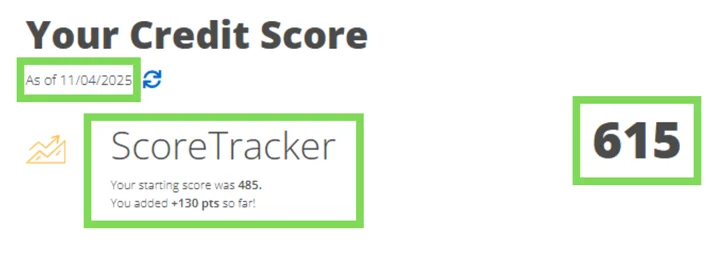 Raymond's credit report result